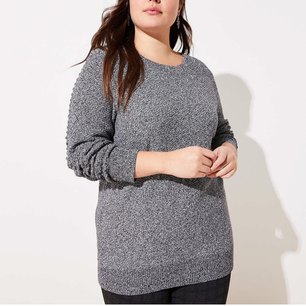 Loft Crew Neck Pullover Long Sleeve Sweater Gray